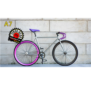 FIXED GEAR CƠ BẢN