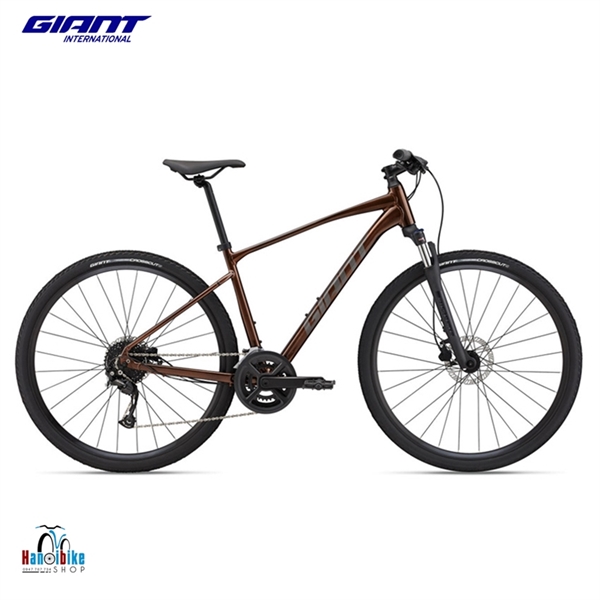 Xe Đạp Thể Thao MTB GIANT Quốc Tế Roam 2 Disc